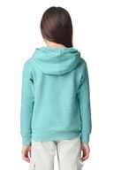 Comfort Colors ®  Youth Lightweight Hooded Sweatshirt 1467Y
