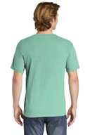 COMFORT COLORS  ®  Heavyweight Ring Spun Tee. 1717