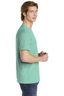 COMFORT COLORS  ®  Heavyweight Ring Spun Tee. 1717