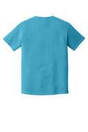 COMFORT COLORS  ®  Heavyweight Ring Spun Tee. 1717