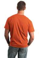 Gildan Softstyle ®  T-Shirt. 64000
