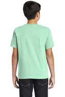COMFORT COLORS  ®  Youth Midweight Ring Spun Tee. 9018