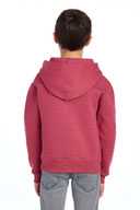 JERZEES ®  - Youth NuBlend ®  Pullover Hooded Sweatshirt.  996Y