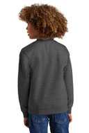 District ®  Youth V.I.T. ™  Fleece Crew DT6104Y