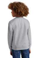District ®  Youth V.I.T. ™  Fleece Crew DT6104Y