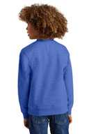 District ®  Youth V.I.T. ™  Fleece Crew DT6104Y