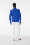 BELLA+CANVAS  ®  Unisex Sponge Fleece Raglan Sweatshirt. BC3901