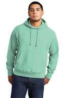 Champion  ®  Reverse Weave  ®  Garment-Dyed Hooded Sweatshirt. GDS101