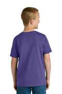 Next Level Apparel ®  Youth Cotton Tee NL3310