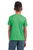 Next Level Apparel ®  Youth CVC Tee NL3312