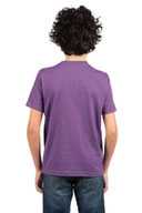 Next Level Apparel ®  Youth CVC Tee NL3312