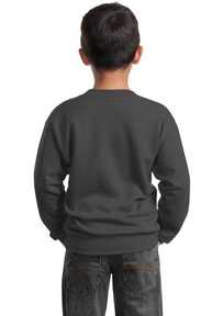 Port & Company ®  - Youth Core Fleece Crewneck Sweatshirt.  PC90Y