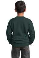 Port & Co ®  - Youth Core Fleece Crewneck Sweatshirt.  PC90Y