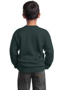 Port & Company ®  - Youth Core Fleece Crewneck Sweatshirt.  PC90Y