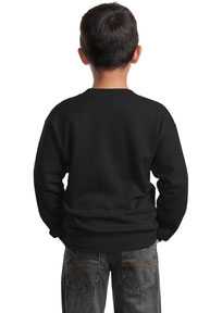 Port & Company ®  - Youth Core Fleece Crewneck Sweatshirt.  PC90Y