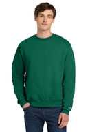 Champion ®   Eco Fleece Crewneck Sweatshirt. S6000