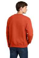 Champion ®   Eco Fleece Crewneck Sweatshirt. S6000