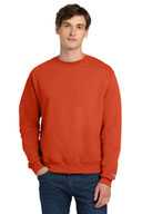 Champion ®   Eco Fleece Crewneck Sweatshirt. S6000