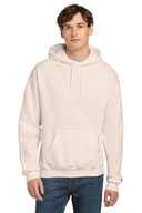 Champion ®   Powerblend Pullover Hoodie. S700