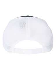 110® Mesh-Back Cap