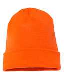Cuffed Beanie