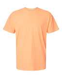 Comfort Colors Unisex Garment-Dyed Heavyweight T-Shirt
