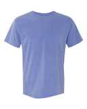 Comfort Colors Unisex Garment-Dyed Heavyweight T-Shirt