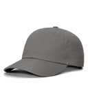 Sustainable Ashland Dad Hat