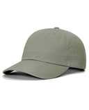 Richardson Sustainable Ashland Dad Hat 254RE