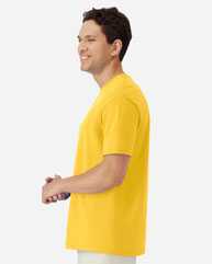Gildan 3000 Light Cotton T-Shirt