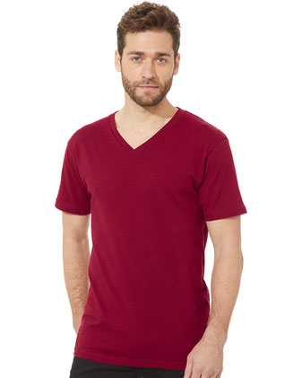 Next Level Cotton V-Neck T-Shirt 3200M