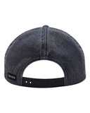 Walleye Nature Scene Cap