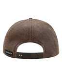 Lab Nature Scene Cap