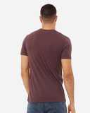 Triblend Tee