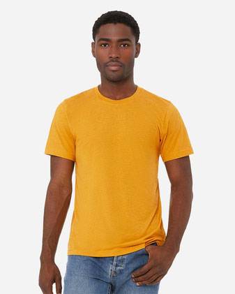 BELLA + CANVAS Triblend Tee 3413