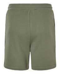 Sponge Fleece Shorts