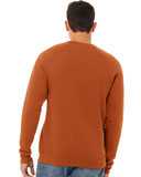Sponge Fleece Raglan Crewneck Sweatshirt