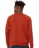 Sponge Fleece Raglan Crewneck Sweatshirt