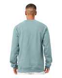 Sponge Fleece Raglan Crewneck Sweatshirt
