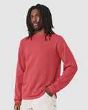 Sponge Fleece Raglan Crewneck Sweatshirt