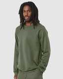 Sponge Fleece Raglan Crewneck Sweatshirt