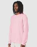 Sponge Fleece Raglan Crewneck Sweatshirt