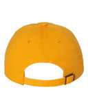 Clean Up Cap