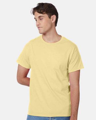 Hanes Authentic T-Shirt 5250