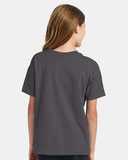 Ecosmart™ Youth T-Shirt