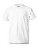 Hanes Ecosmart™ Youth T-Shirt 5370