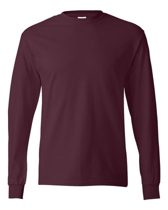 Hanes Authentic Long Sleeve T-Shirt 5586