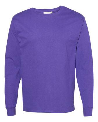 Hanes Authentic Long Sleeve T-Shirt 5586