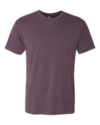 Next Level Triblend T-Shirt 6010M