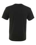Next Level Triblend V-Neck T-Shirt 6040